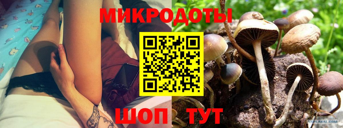 Кокаин  А ПВП СК кристаллы  Бошки Шишки  Вейп ТГК  МЕТ  ГАШИШ  АМФЕТАМИН кристаллы  Вход с VPN  Гашиш  Прохладный  МЕФ кристаллы 