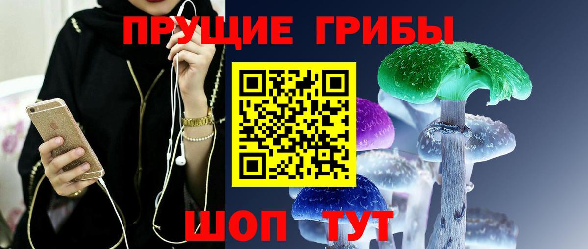 Галлюциногенные грибы GOLDEN TEACHER  Вход с VPN  купить наркотики цена  Прохладный  Галлюциногенные грибы Cubensis 